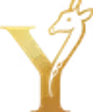 YAA